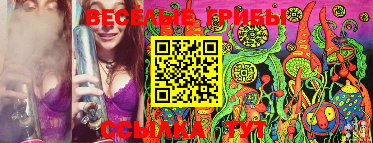 Галлюциногенные грибы Psilocybe Берёзовский